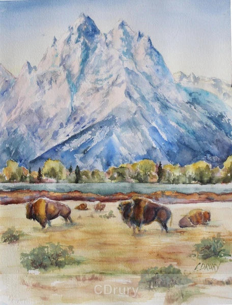 NC  CD Where the Buffalo Roam