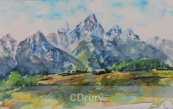 NC CD Summertime in the Tetons
