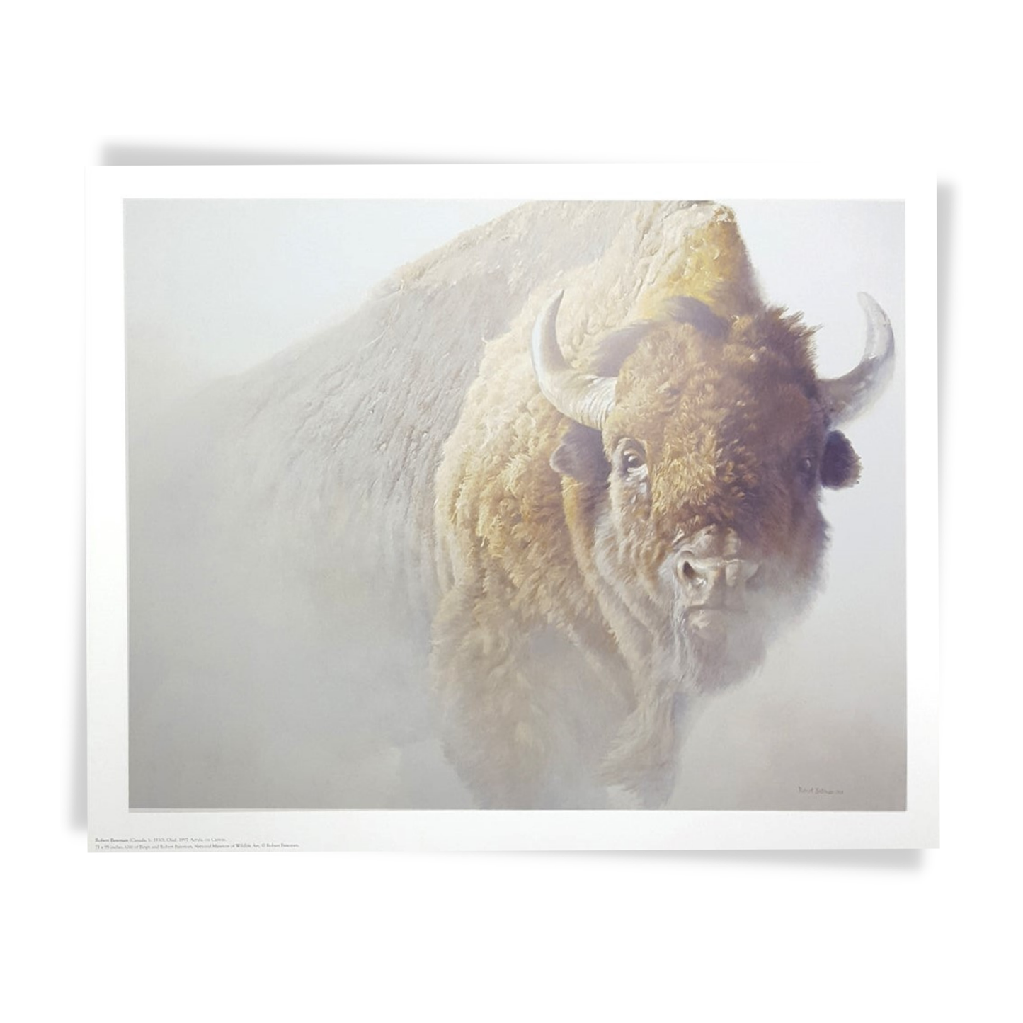 'The Chief' Robert Bateman Poster (16×20)