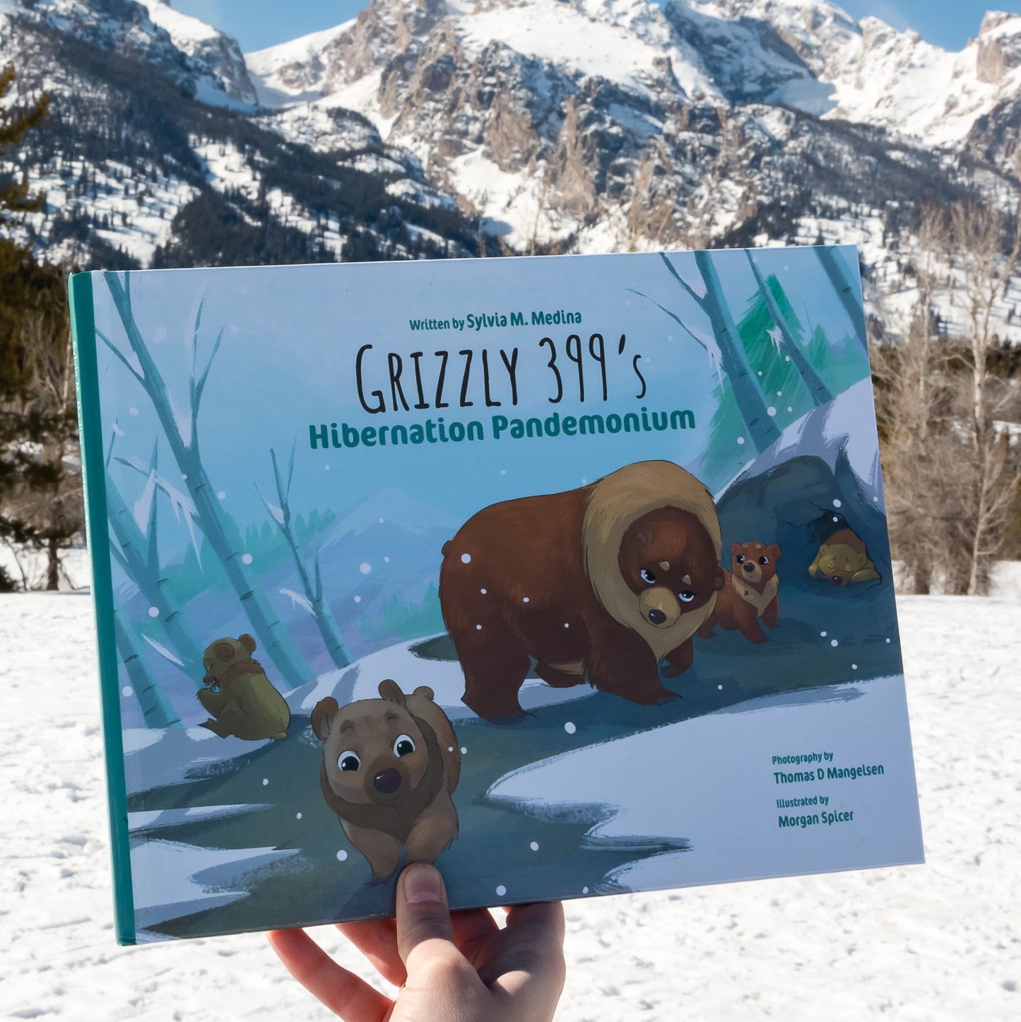 Grizzly 399's Hibernation Pandemonium