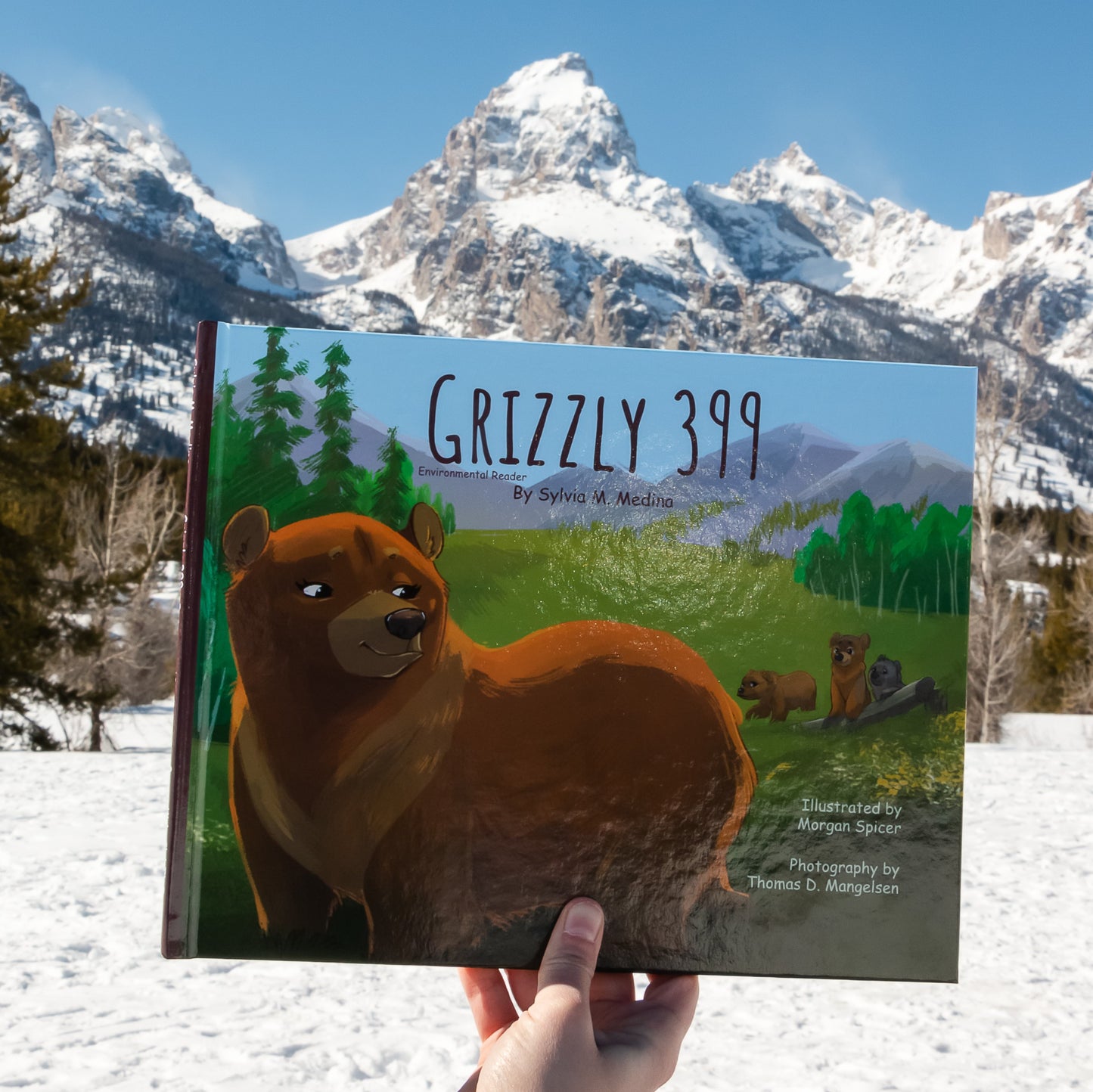 Grizzly 399 - Environmental Reader