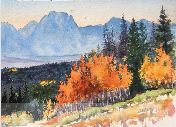 NC CD Into The Valley