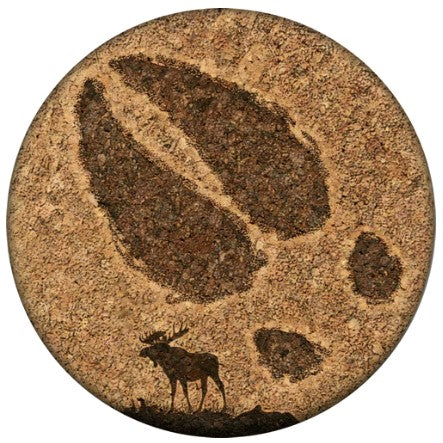 Coaster Moose Tracks