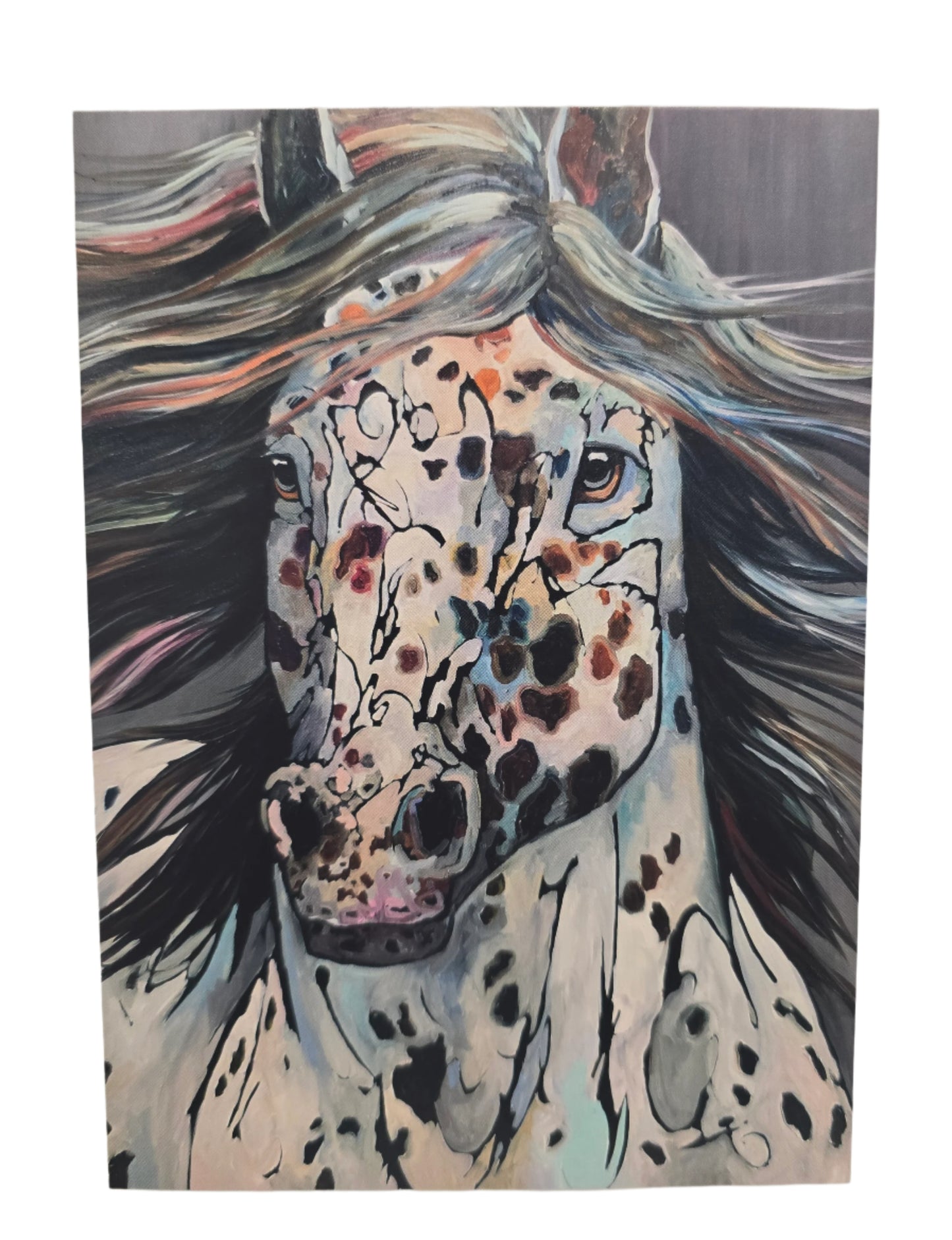 Postcard Ringholz 5 x 7