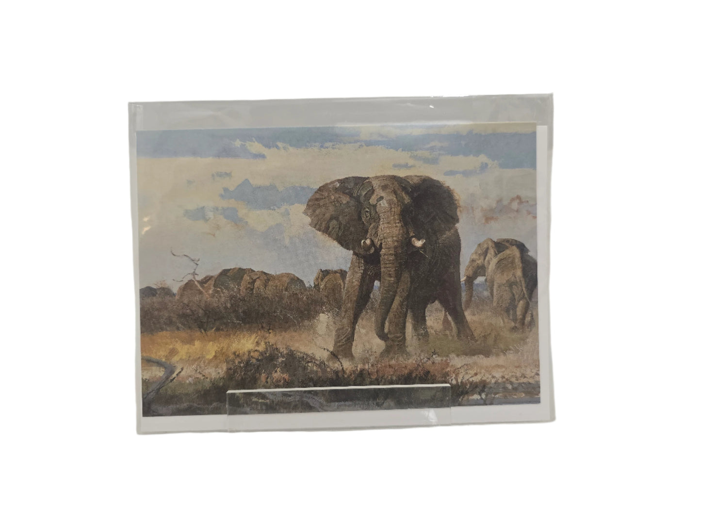 NC Kuhn Rear Guard
