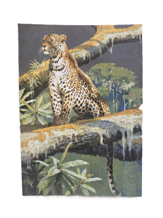 NC Kuhn In the High Forest