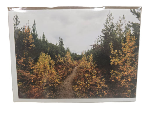 NC Autumn Trail 5x7 AM