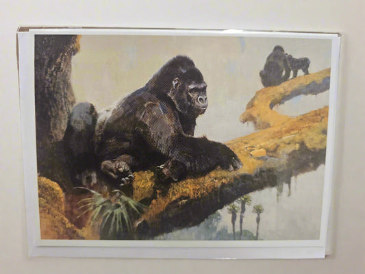 NC Kuhn Gorillas