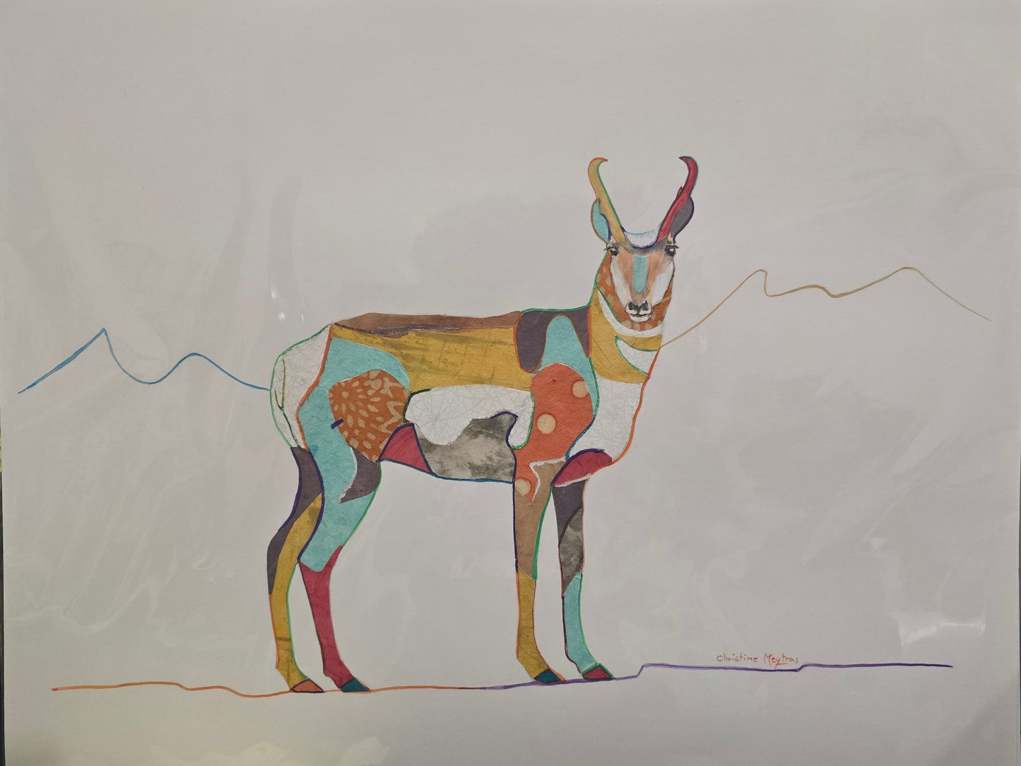 Pronghorn Collage