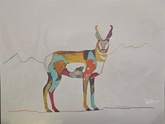 Pronghorn Collage