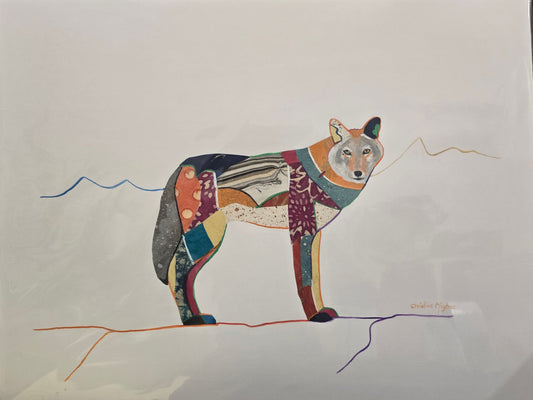 Cayote Collage