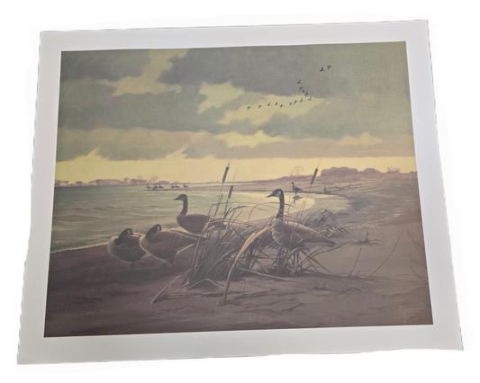 Print  Jaques PauseInTheJourne