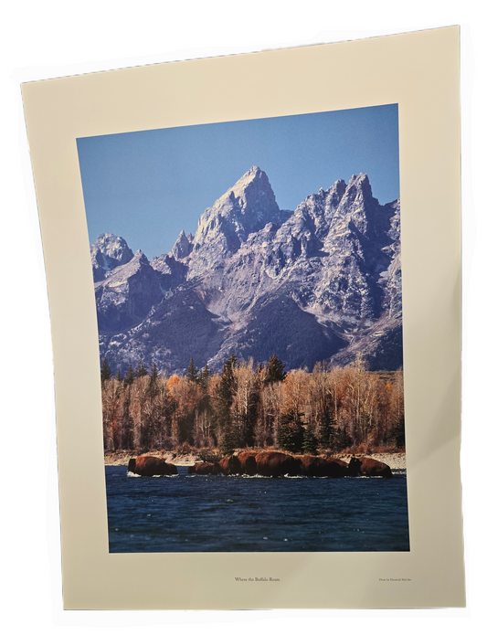 Poster Where the Buffalo Roam