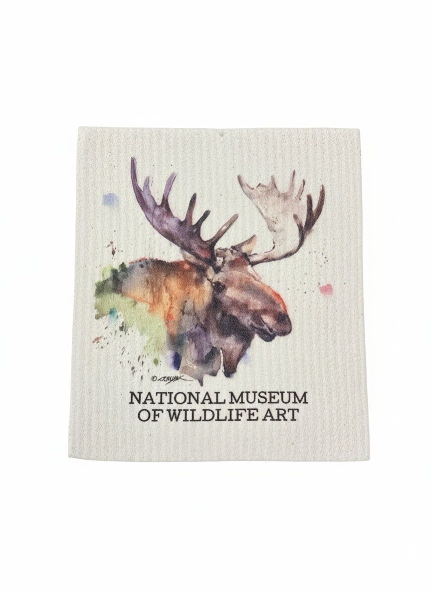 Biodegradable Dish Cloth