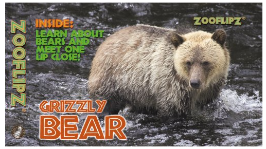 Book Zooflipz: Grizzly Bear