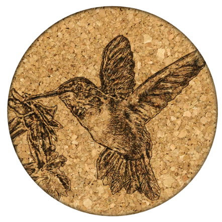 Coaster Hummingbird