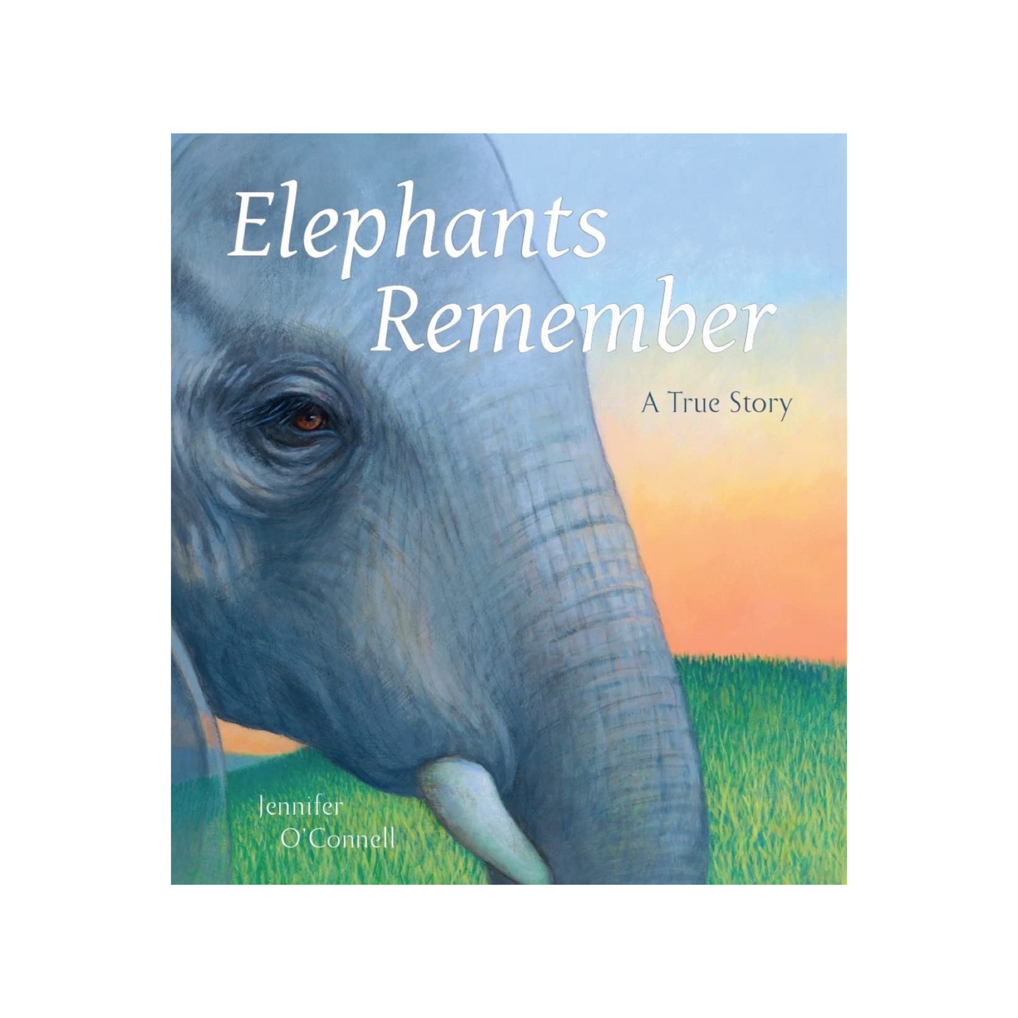 Elephants Remember