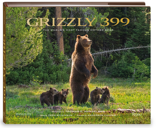 Grizzly 399 The world’s most famous mother bear