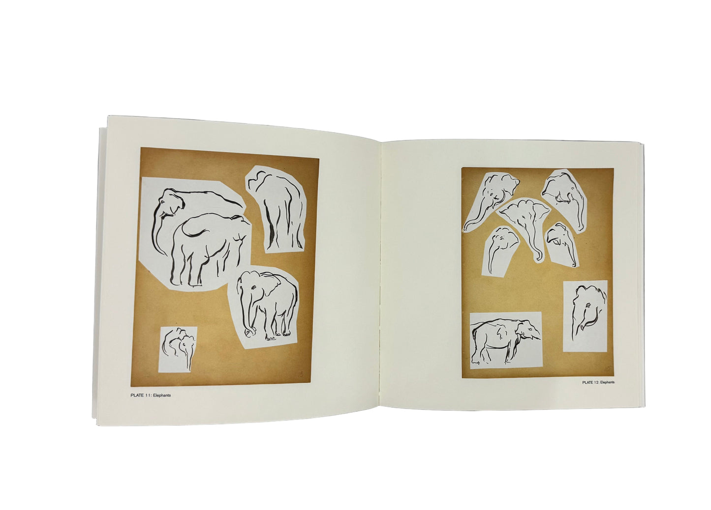 Wild Work: Animal Drawings By Alexander Calder