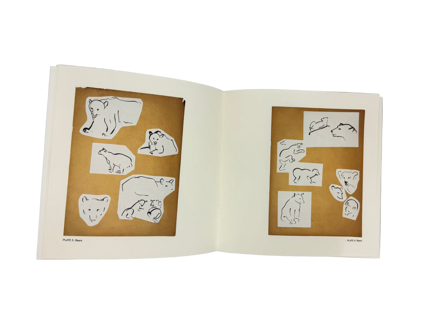 Wild Work: Animal Drawings By Alexander Calder