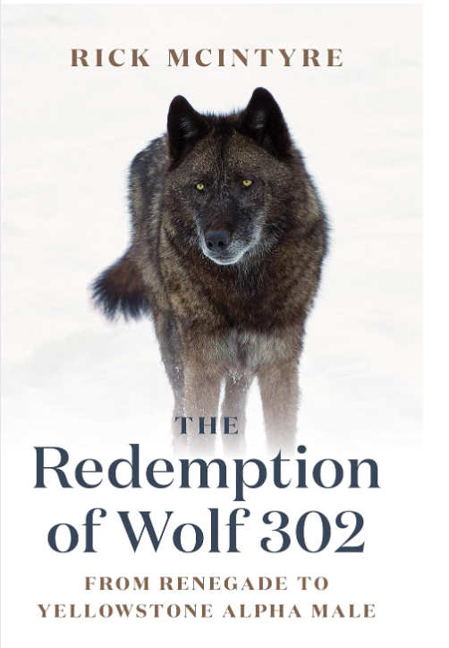 Redemption of Wolf 302