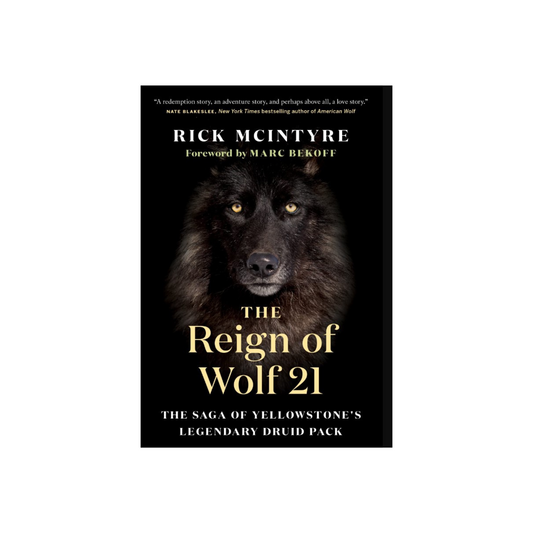 Reign of Wolf 21: The Saga of Yellowstone's Legendary Druid Pack