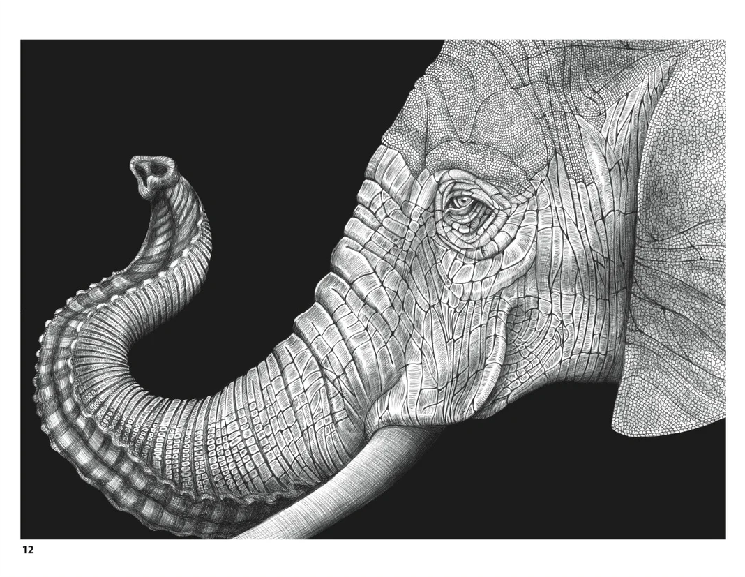 Intricate Ink: Animals in Detail Coloring book