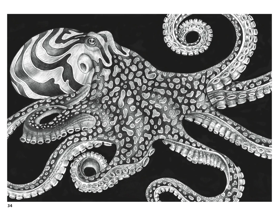 Intricate Ink: Animals in Detail Coloring book