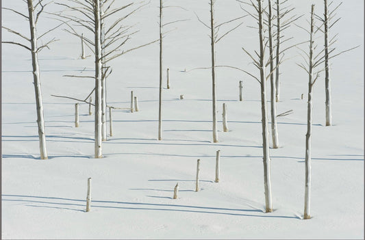 Ken Takata Note Card