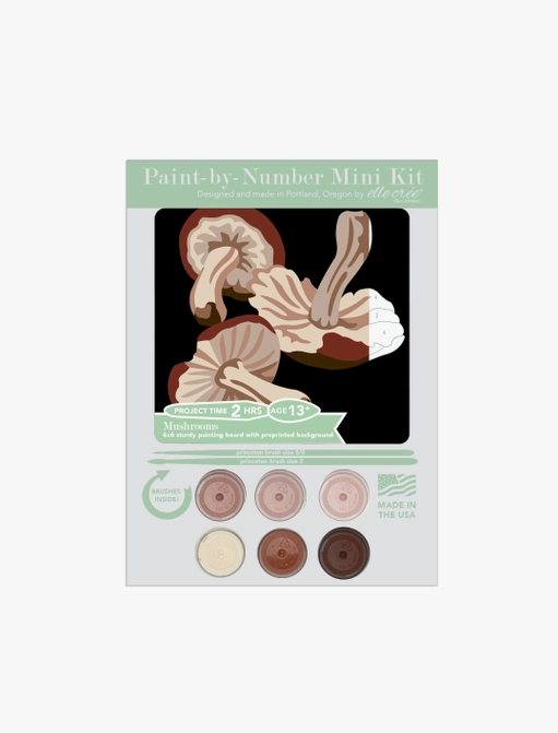 Mushrooms  MINI Paint-by-Number Kit