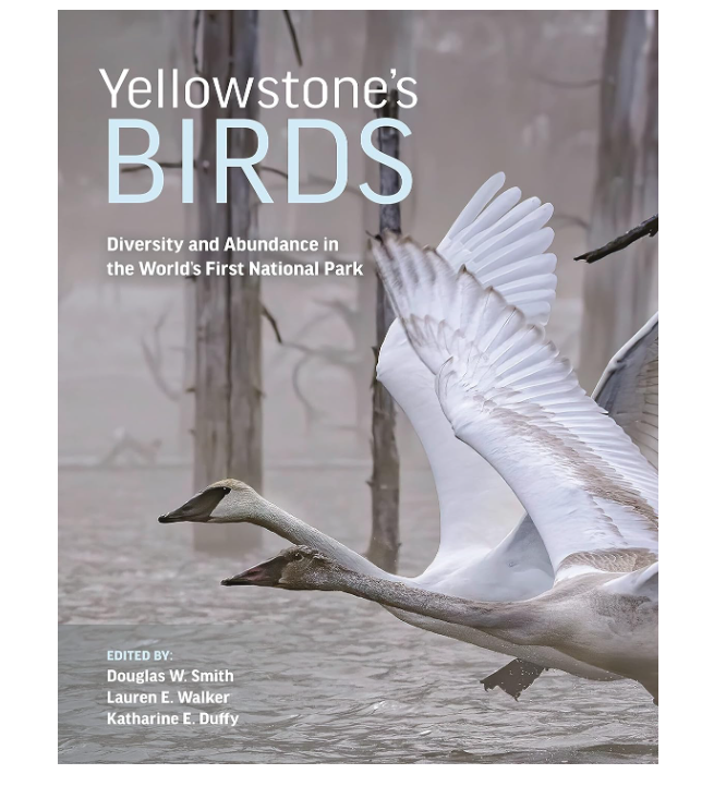 Yellowstone's Birds: Diversity and Abundance in the World’s First National Park