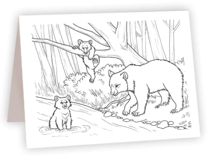 Bears by River - Coloring NC