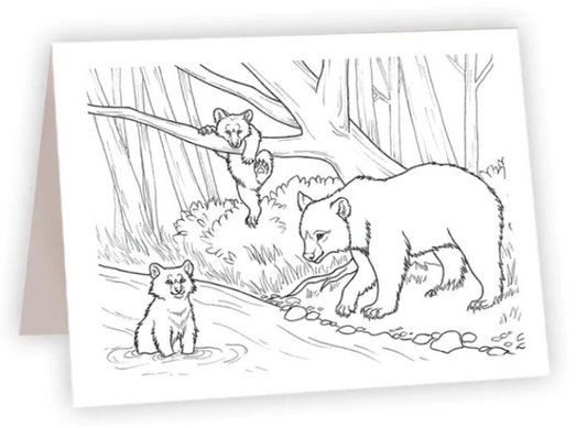 Bears by River - Coloring NC