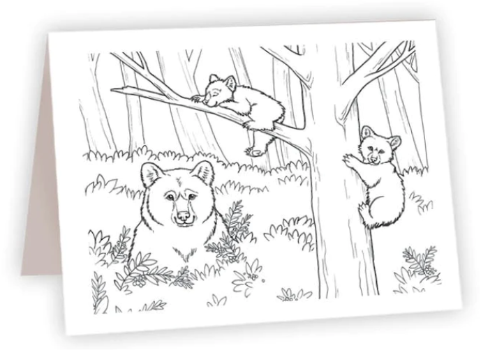 Bear eat, play, nap - Coloring NC