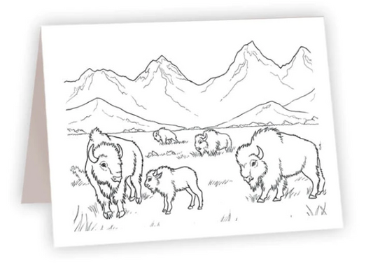 Bison Herd - Coloring NC