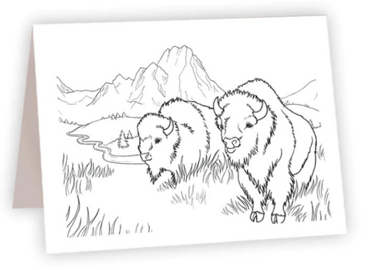 Bison - Coloring NC