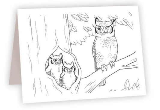 Owls - Coloring NC