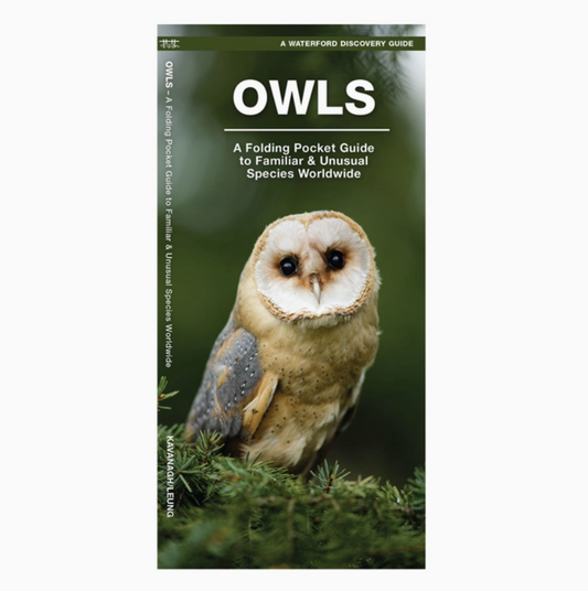 Owls (Discover Guide)