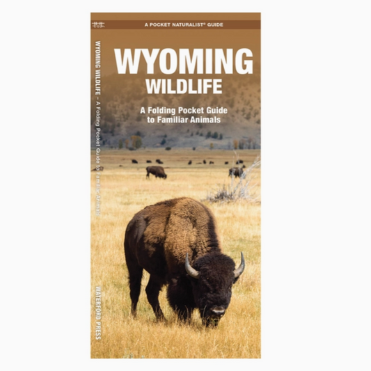 Wyoming Wildlife (Pocket Naturalist Guide)