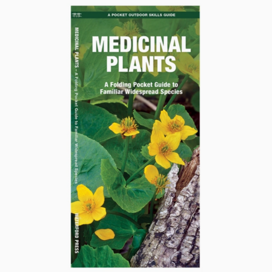 Medicinal Plants (Pocket Naturalist Guide)