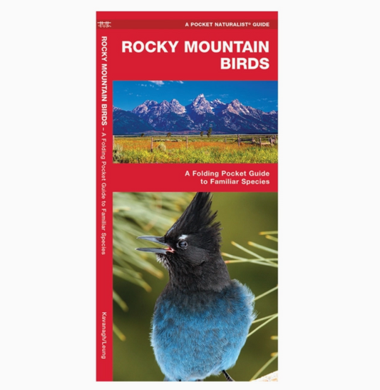 Rocky Mountain Birds (Pocket Naturalist Guide)