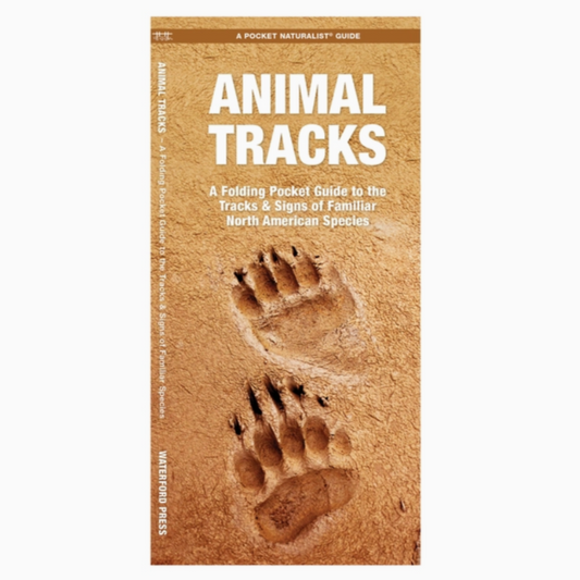 Animal Tracks (Pocket Naturalist Guide)