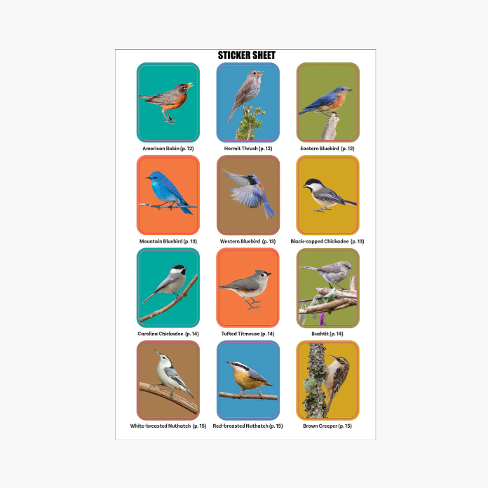 The Birder's Logbook: A Seek-and-Sticker Book for Budding Ornithologists