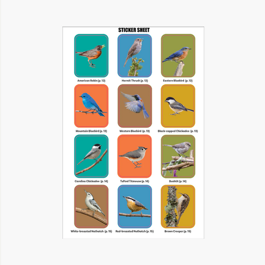 The Birder's Logbook: A Seek-and-Sticker Book for Budding Ornithologists