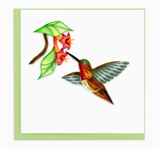 NC Rufous Hummingbird