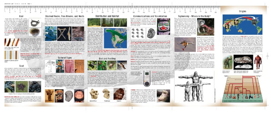 Sasquatch Field Guide: Identifying, Tracking, and Sighting