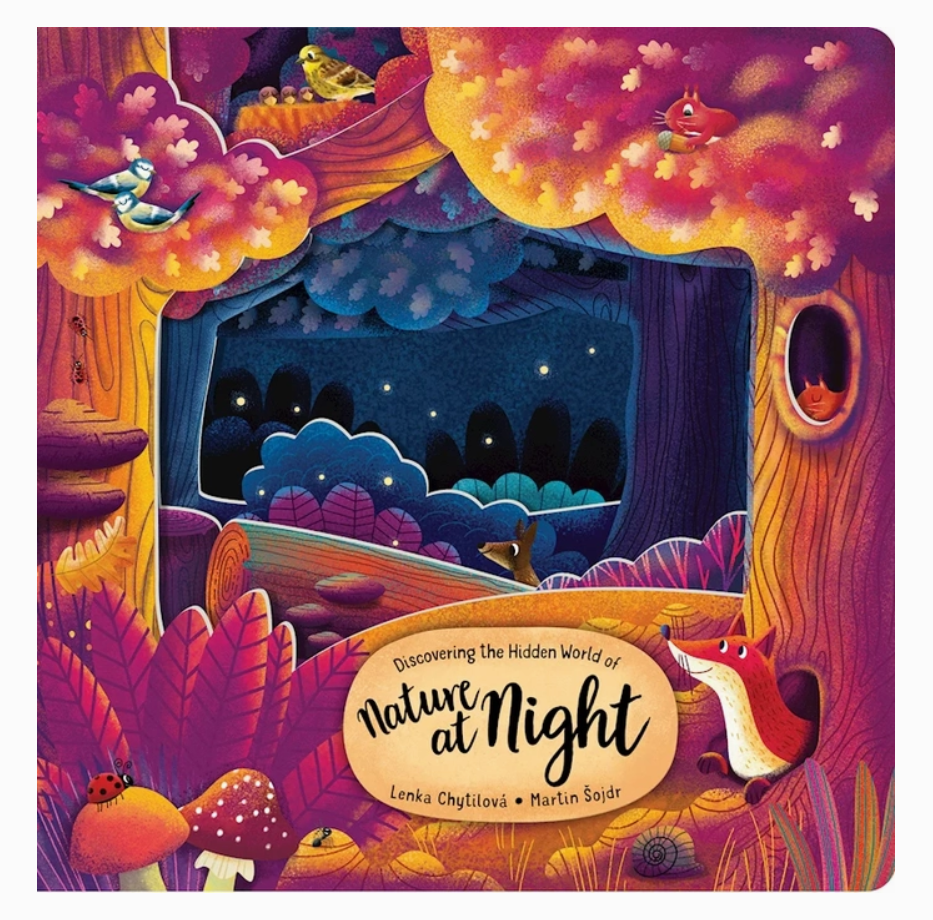 Hidden World of Nature At Night - Board Book