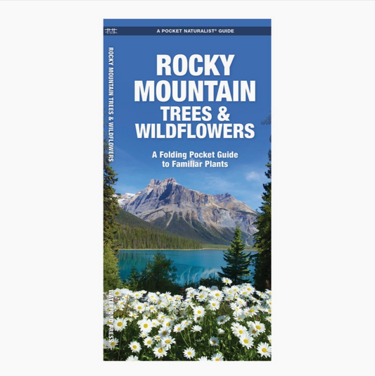 Rocky Mountain Trees & Wildflowers