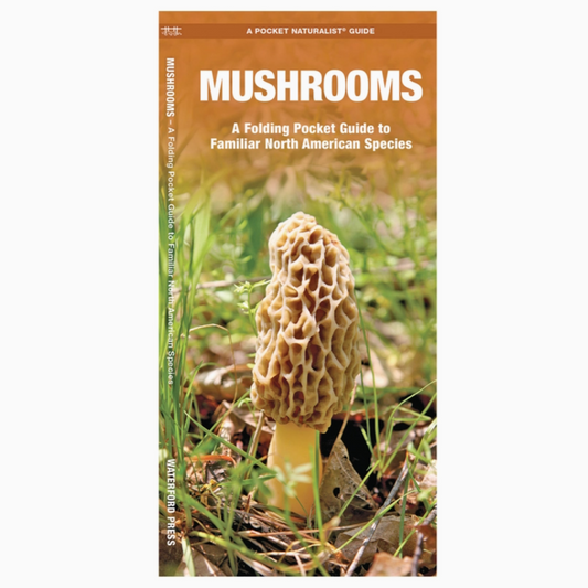 Mushrooms: Folding Pocket Guide