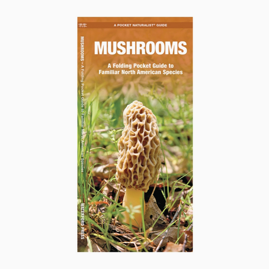 Mushrooms Field Guide